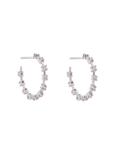 CANDONGAS CHISPAS DIAMANTES