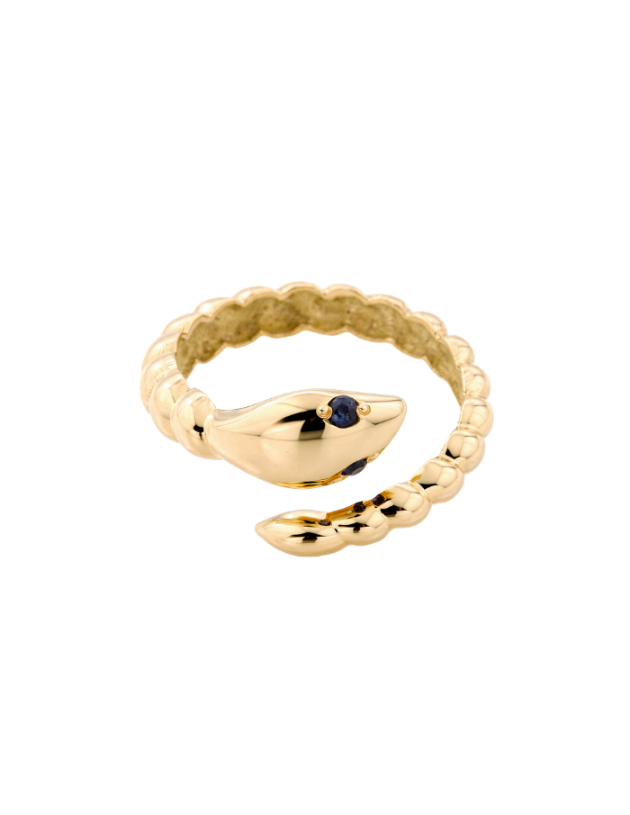 ANILLO CULEBRA