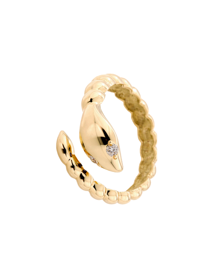 ANILLO CULEBRA