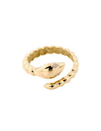 ANILLO CULEBRA