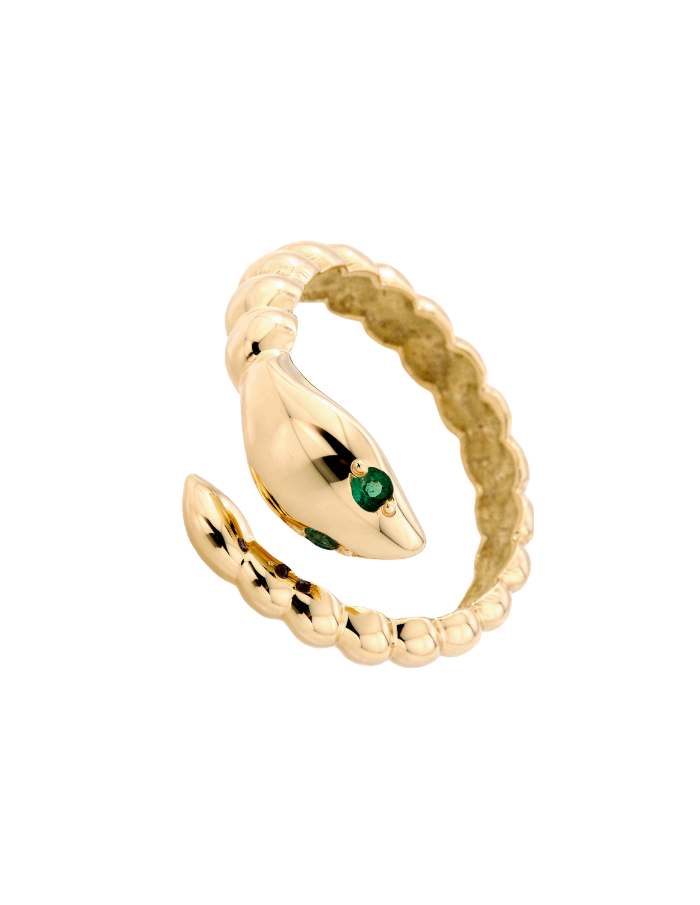 ANILLO CULEBRA