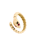 ANILLO CULEBRA