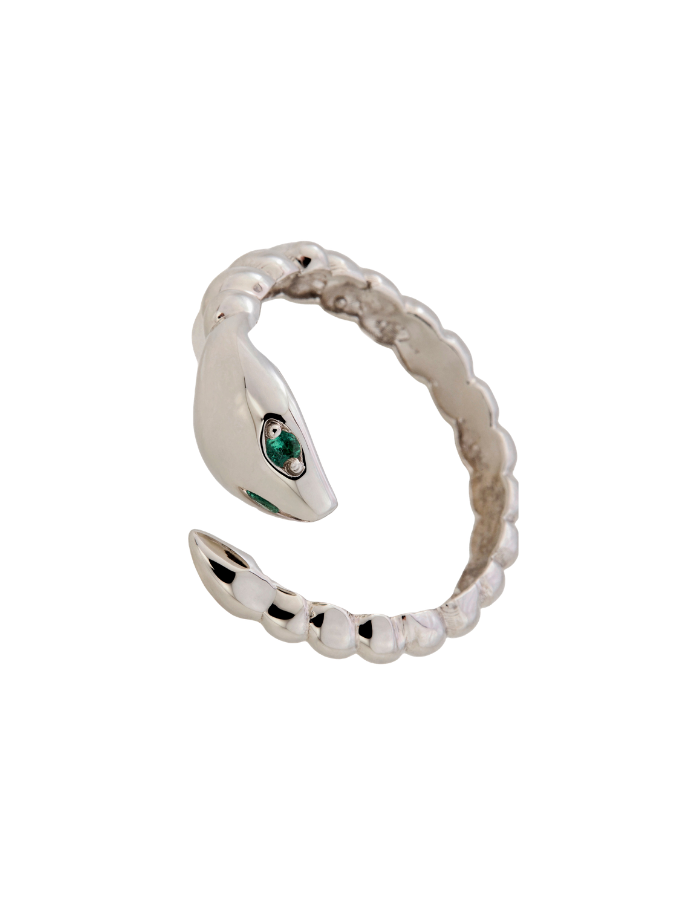 ANILLO CULEBRA